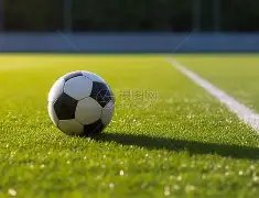 开云平台官,方网,米兰赞助商,开云体育,开云体育官网,开云体育app,开云体育平台,KAIYUN,SPORTS,kaiyun登录入口