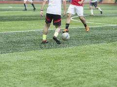 开云平台官,方网,米兰赞助商,开云体育,开云体育官网,开云体育app,开云体育平台,KAIYUN,SPORTS,kaiyun登录入口