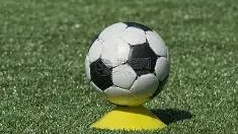 开云平台官方网ac米兰赞助商 产品 142205 aic