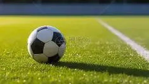 开云平台官方网ac米兰赞助商 资讯 120148 62h