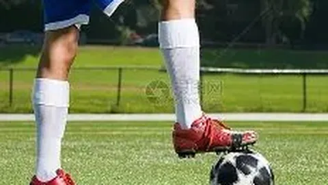 开云平台官方网ac米兰赞助商 资讯 104929 q69