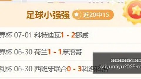 开云平台官方网米兰赞助商 122003 0