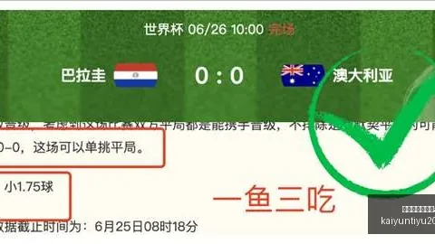 开云平台官方网米，开云代理，兰赞助商 123104 7