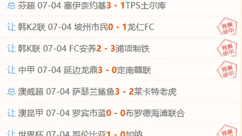 开云平台官方网米兰赞助商 125005